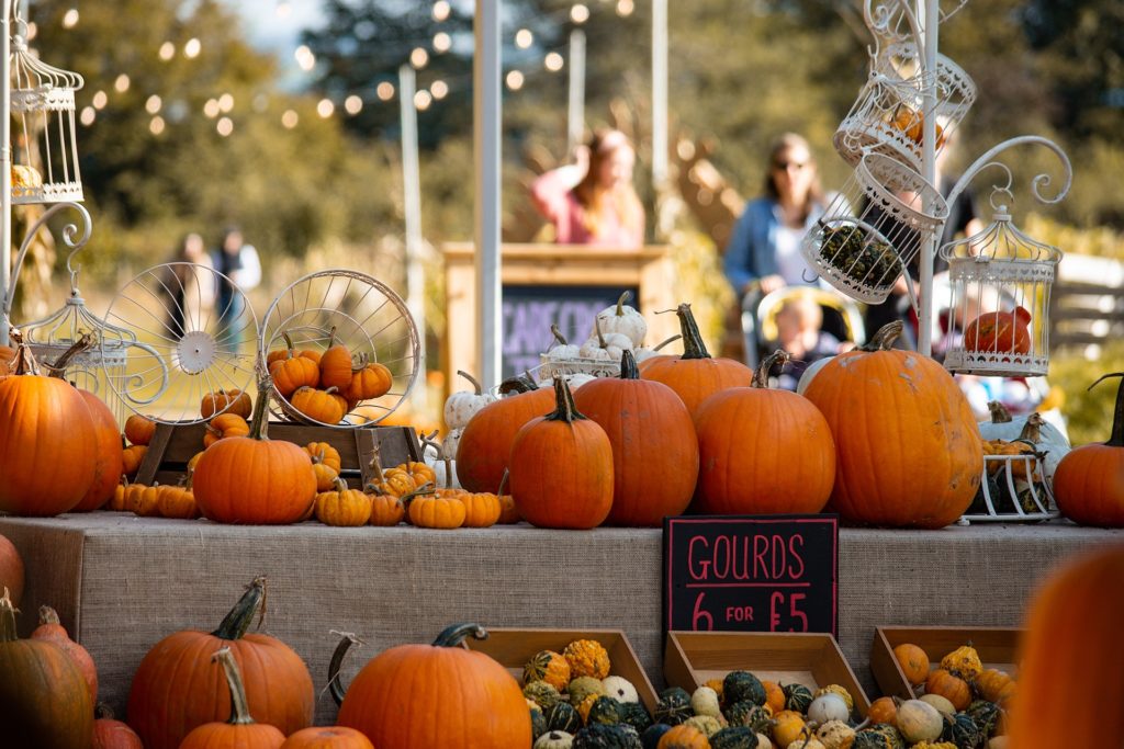 Pumpkins on sale at Cotswolds Farm Park